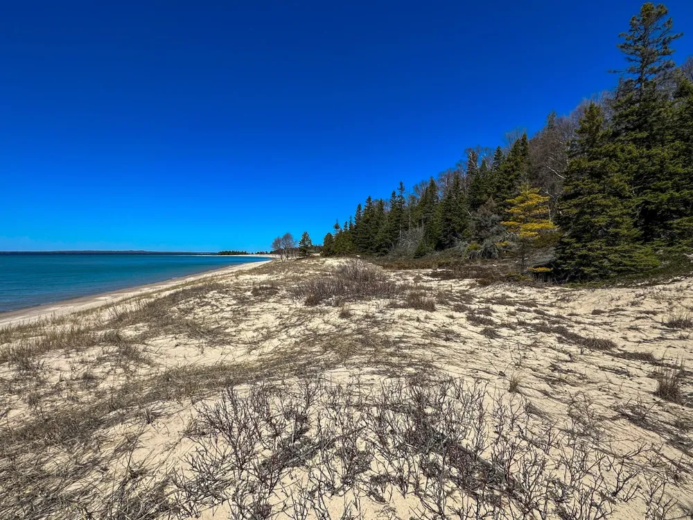 Greene Drive Peaine Township, MI 49782