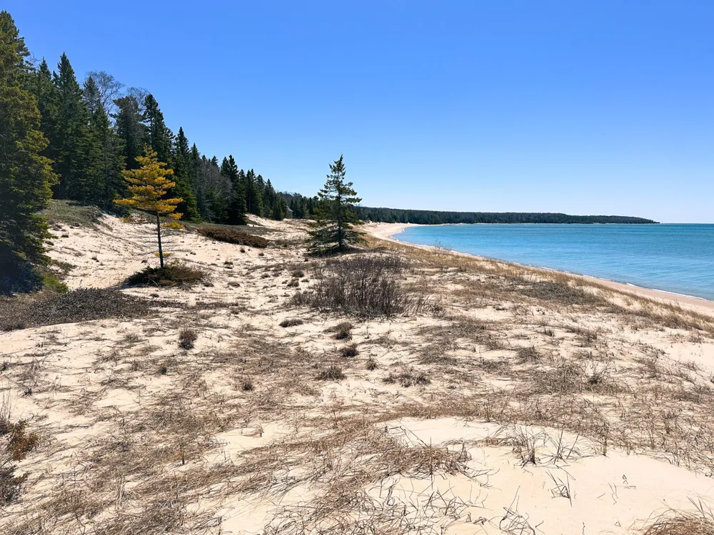 Greene Drive Peaine Township, MI 49782