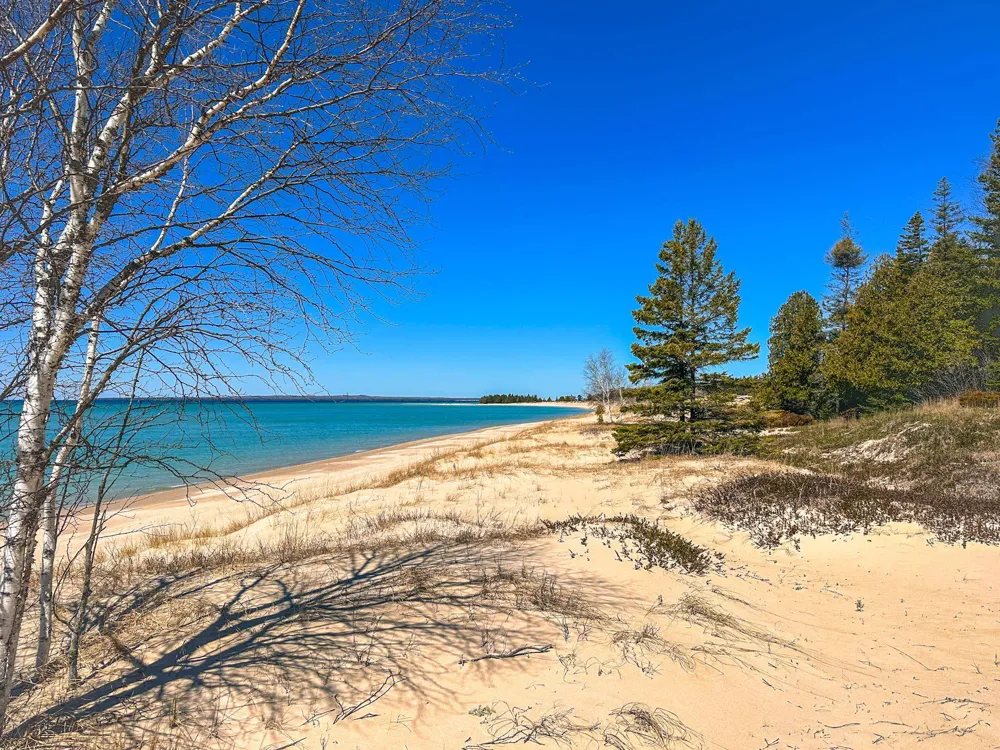 Greene Drive Peaine Township, MI 49782