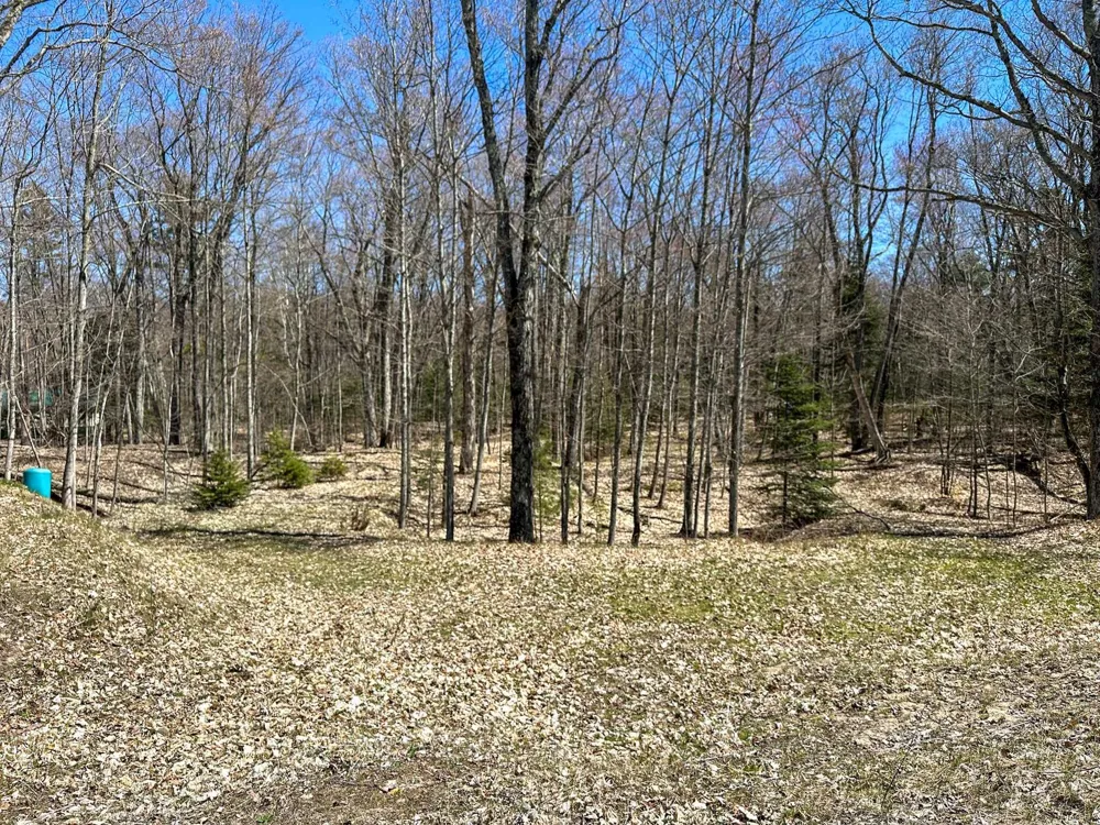 Greene Drive Peaine Township, MI 49782