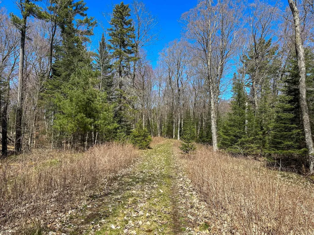 Greene Drive Peaine Township, MI 49782