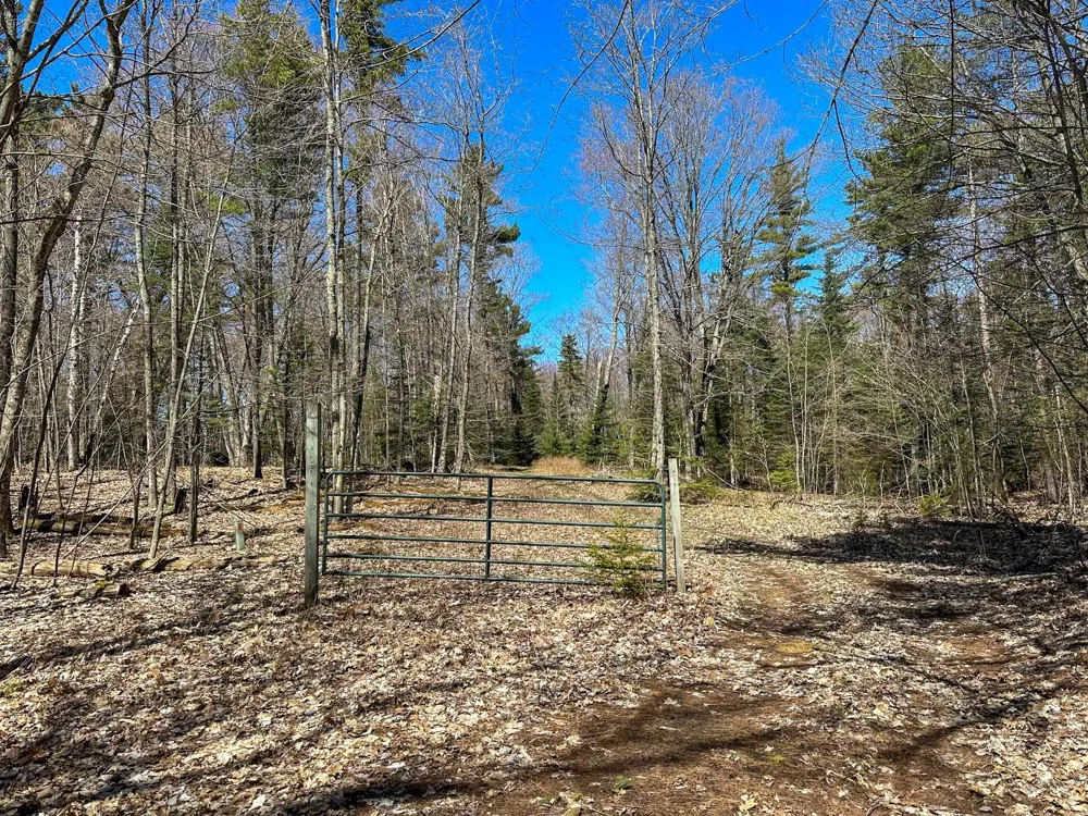 Greene Drive Peaine Township, MI 49782