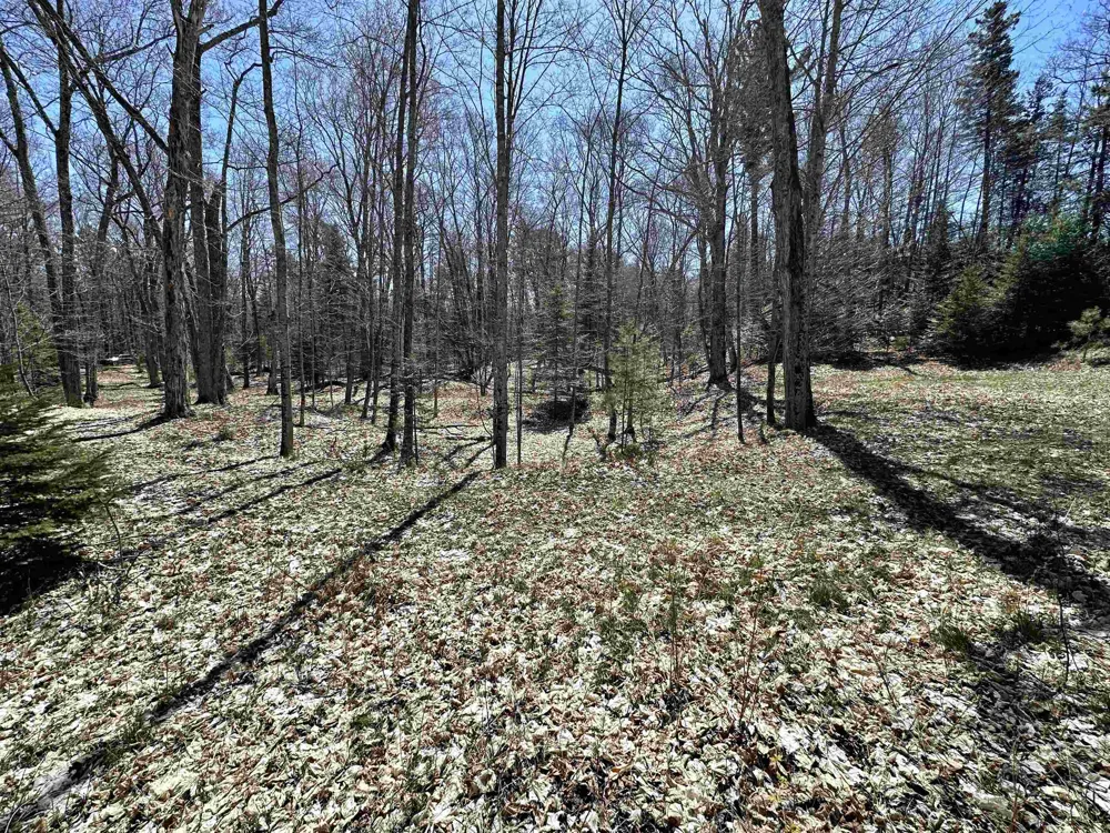 Greene Drive Peaine Township, MI 49782