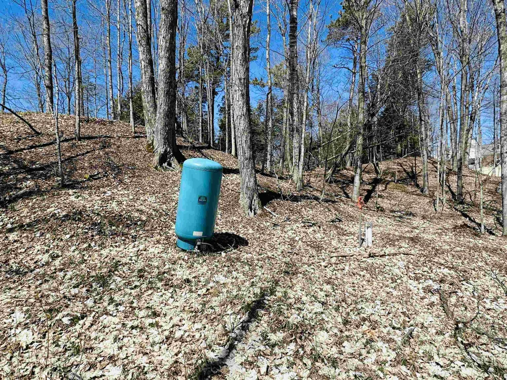 Greene Drive Peaine Township, MI 49782
