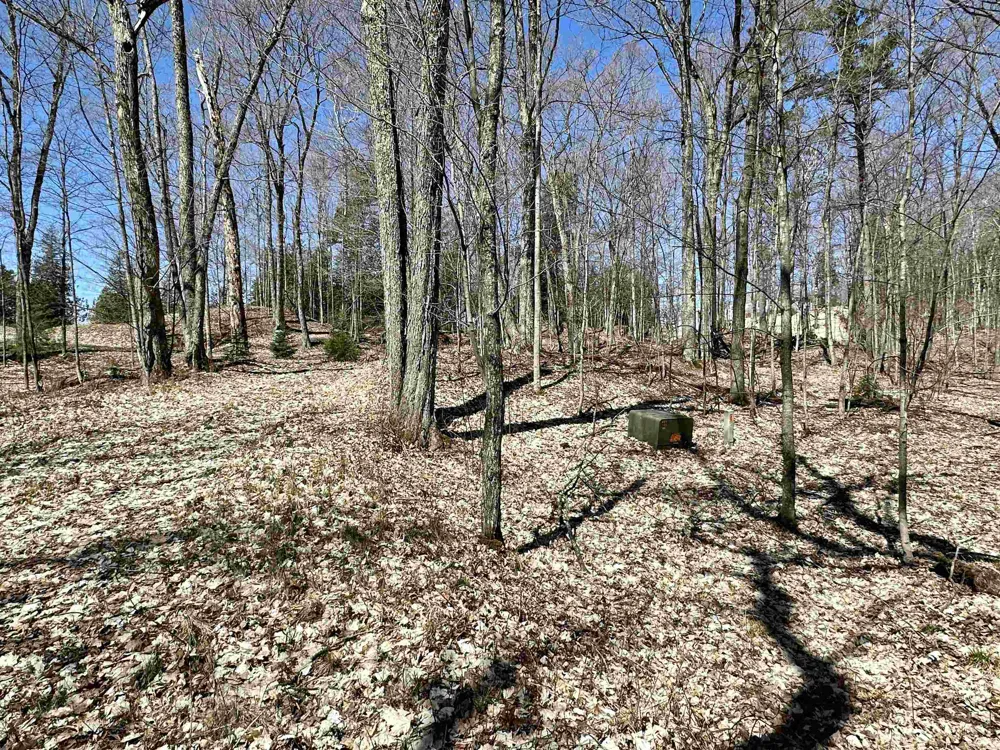 Greene Drive Peaine Township, MI 49782