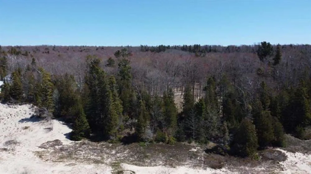 Greene Drive Peaine Township, MI 49782