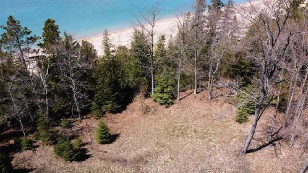 Greene Drive Peaine Township, MI 49782