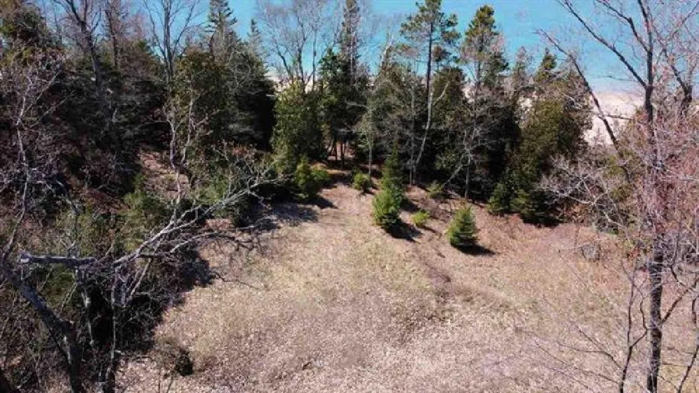 Greene Drive Peaine Township, MI 49782
