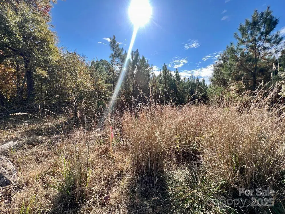 11.53 acres Old Camden Highway Lancaster, SC 29720