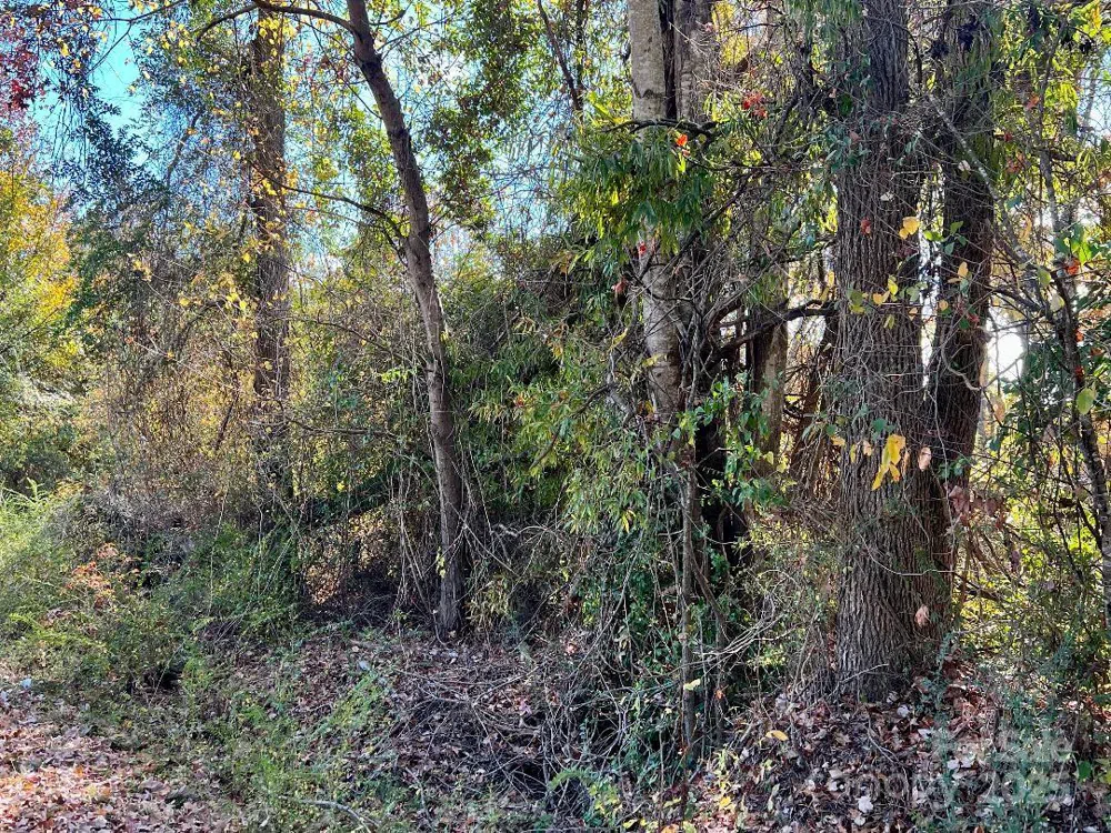 11.53 acres Old Camden Highway Lancaster, SC 29720