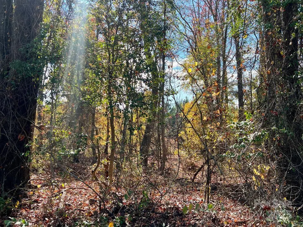 11.53 acres Old Camden Highway Lancaster, SC 29720
