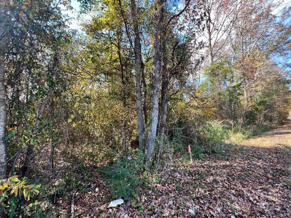 11.53 acres Old Camden Highway Lancaster, SC 29720
