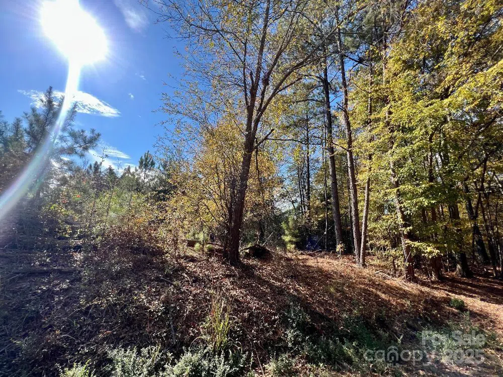 11.53 acres Old Camden Highway Lancaster, SC 29720