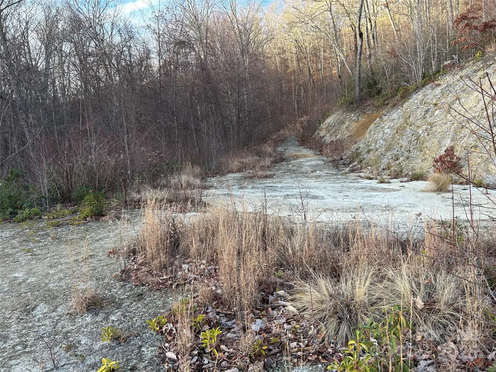 Lot 74 Freedom Way #74 Bryson City, NC 28713