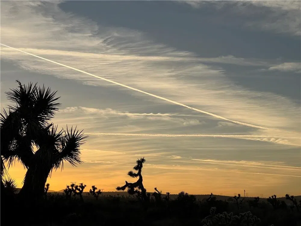 26633 Santa Rosa Road