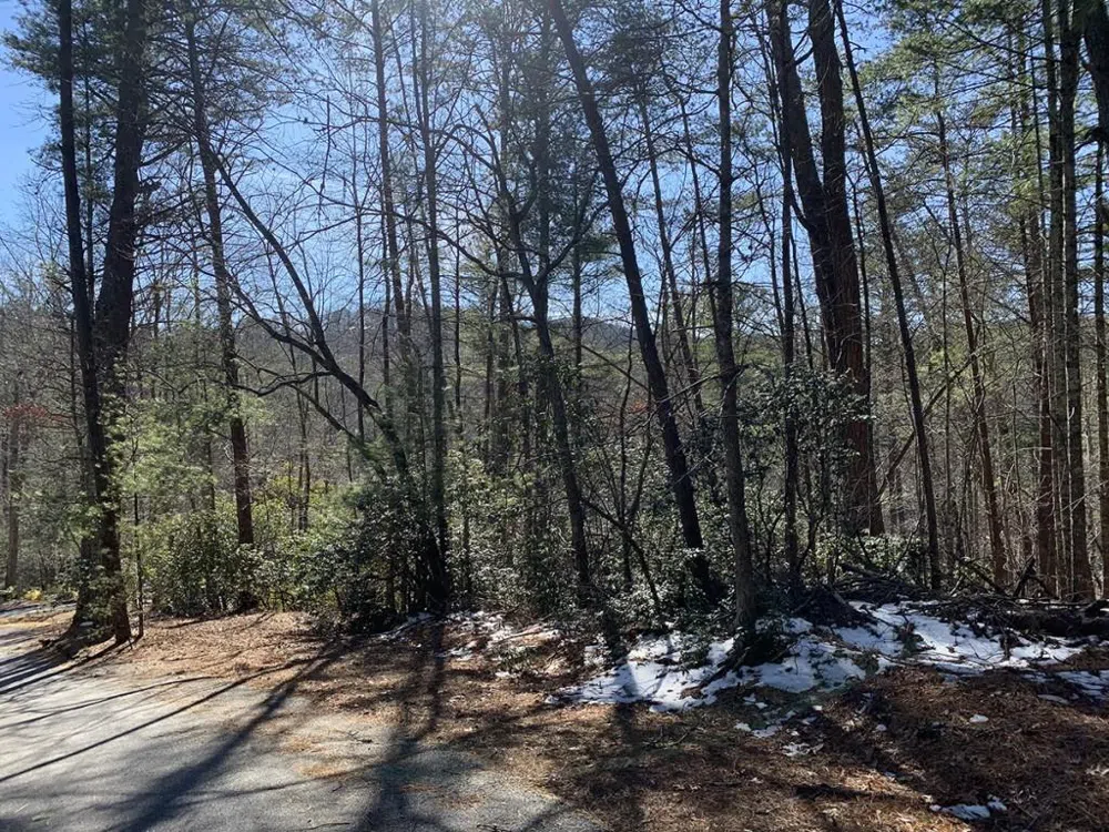 0 Pinecrest Road Sautee Nacoochee, GA 30571