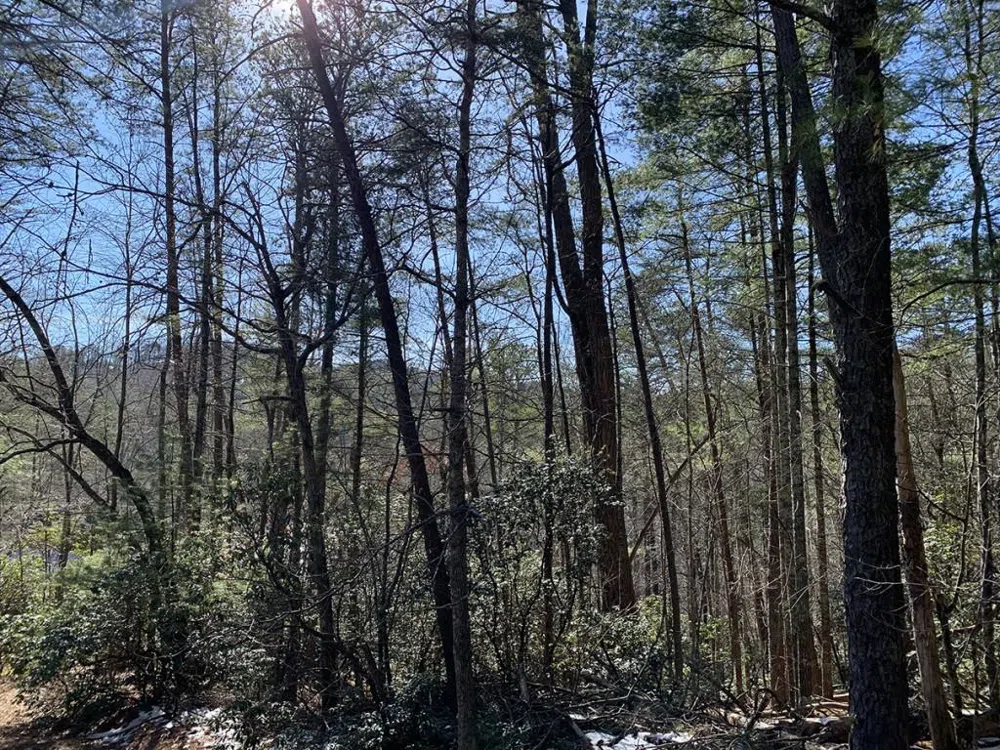 0 Pinecrest Road Sautee Nacoochee, GA 30571