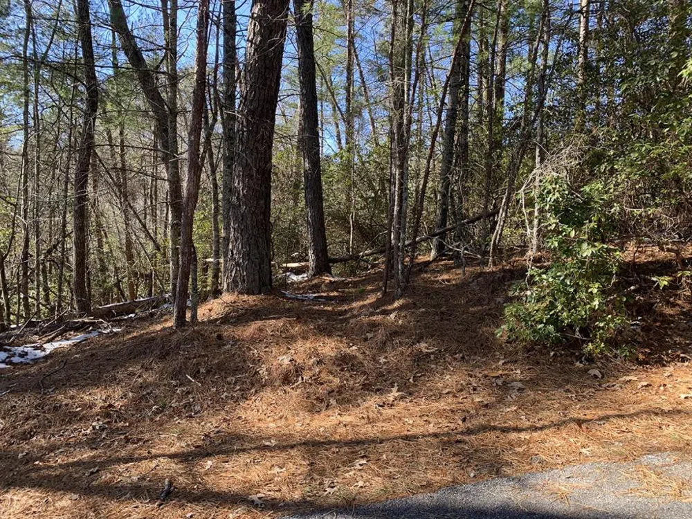 0 Pinecrest Road Sautee Nacoochee, GA 30571