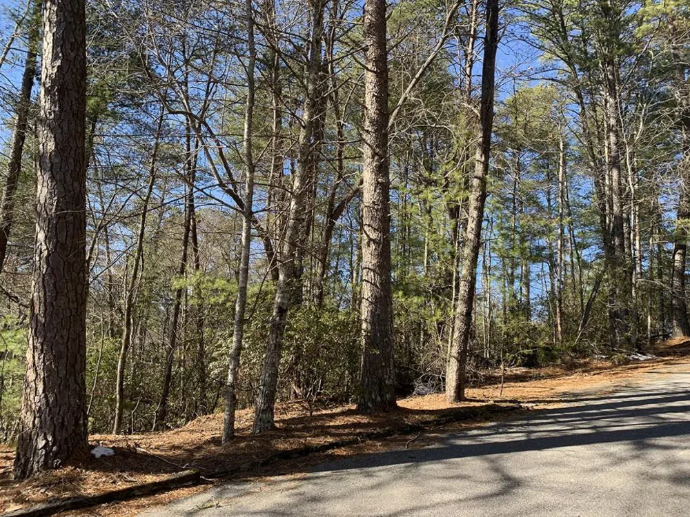 0 Pinecrest Road Sautee Nacoochee, GA 30571