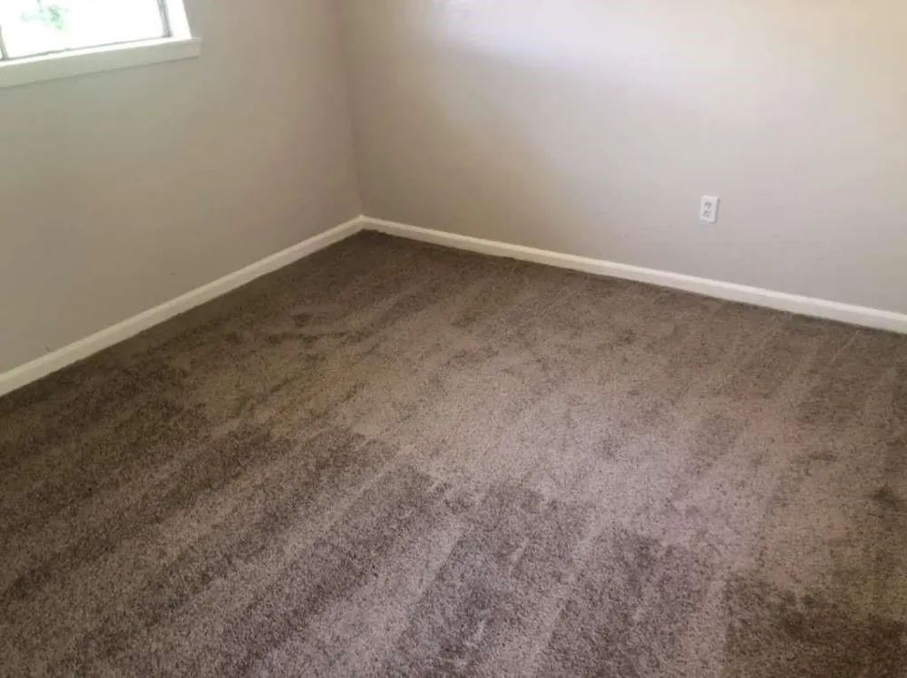 306 Tennyson Street San Leon, TX 77539