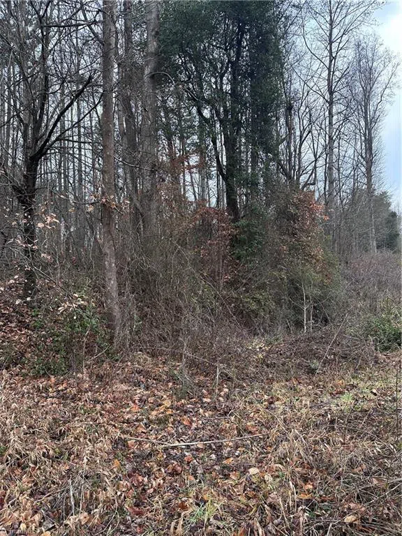 000 S State Street Yadkinville, NC 27055