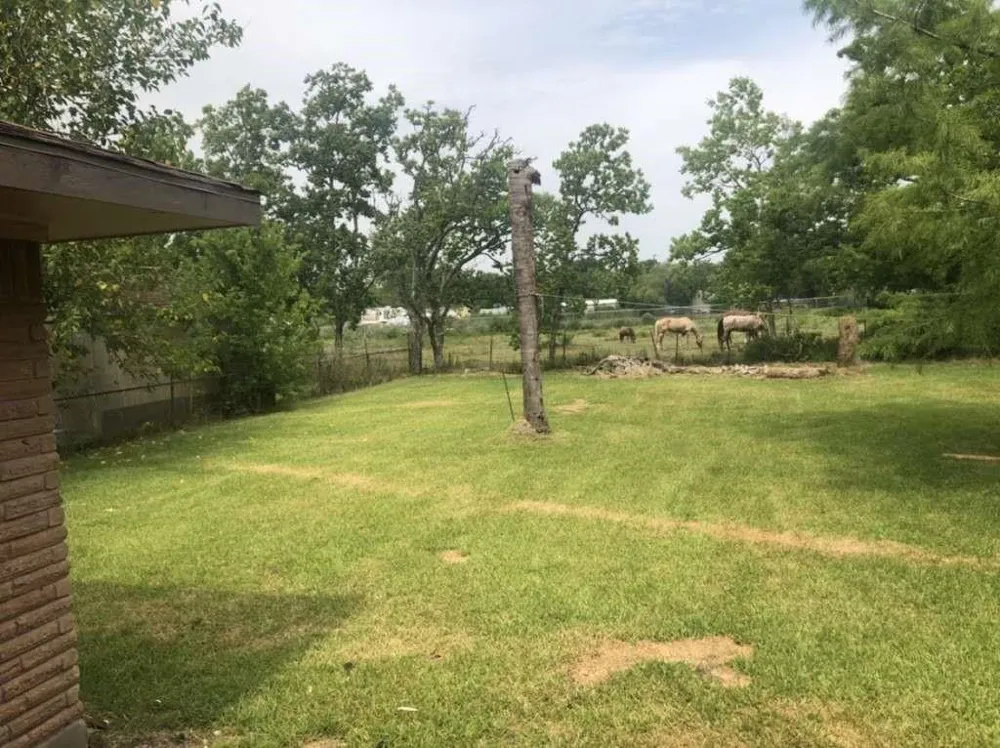 306 Tennyson Street San Leon, TX 77539