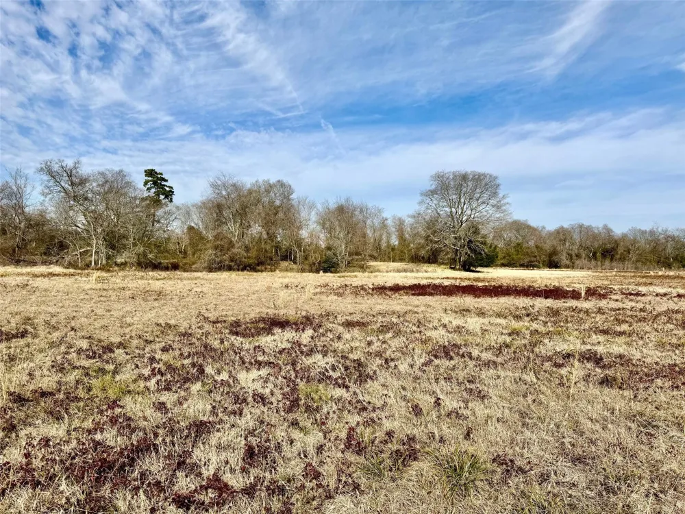 21 Southfield Trail Lovelady, TX 75851