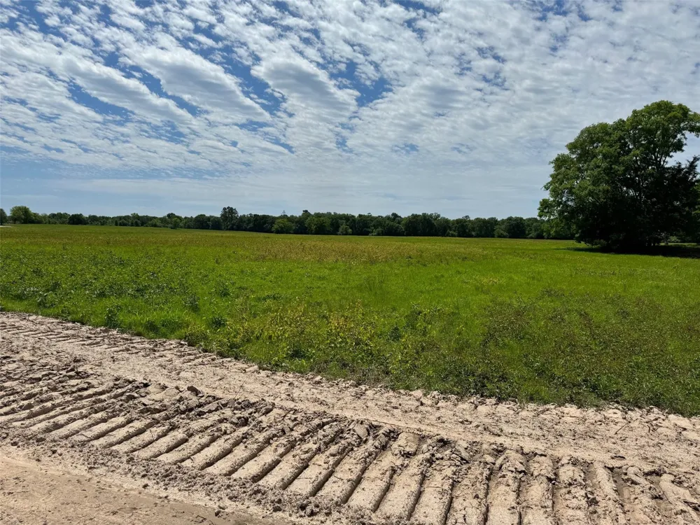 21 Southfield Trail Lovelady, TX 75851