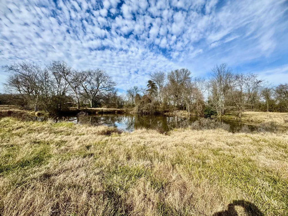 21 Southfield Trail Lovelady, TX 75851