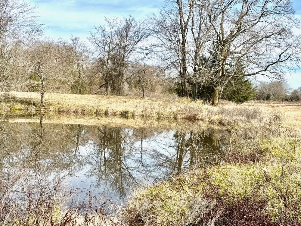 21 Southfield Trail Lovelady, TX 75851