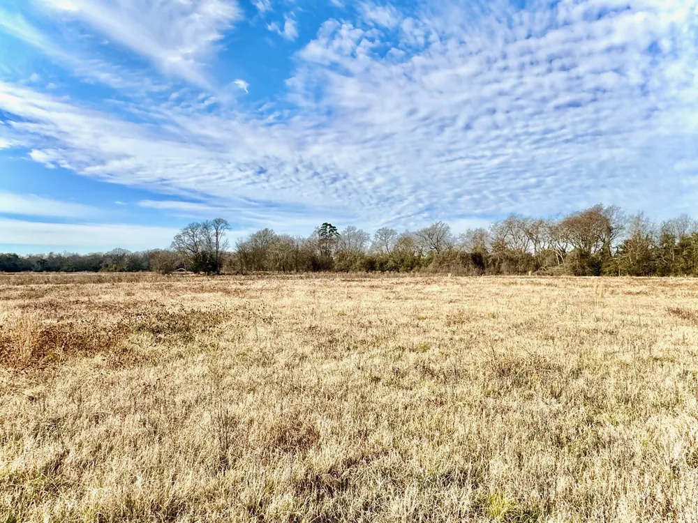 21 Southfield Trail Lovelady, TX 75851
