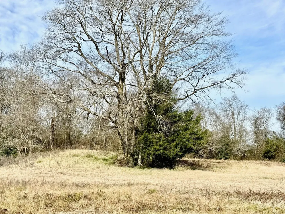 21 Southfield Trail Lovelady, TX 75851