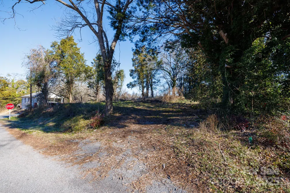 3 Catawba Avenue Great Falls, SC 29055