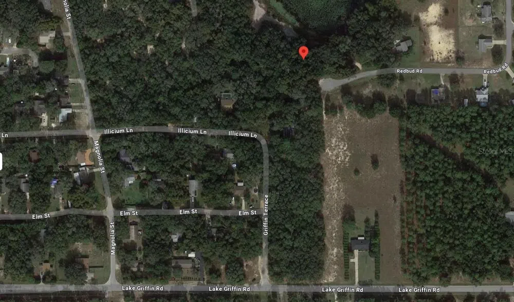 TBD REDBUD ROAD Lady Lake, FL 32159