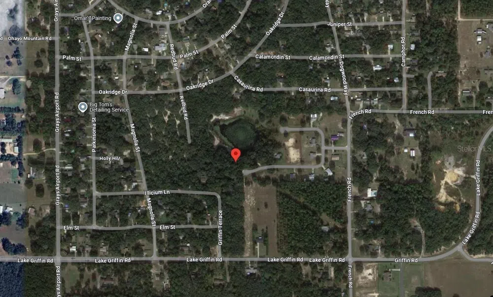 TBD REDBUD ROAD Lady Lake, FL 32159