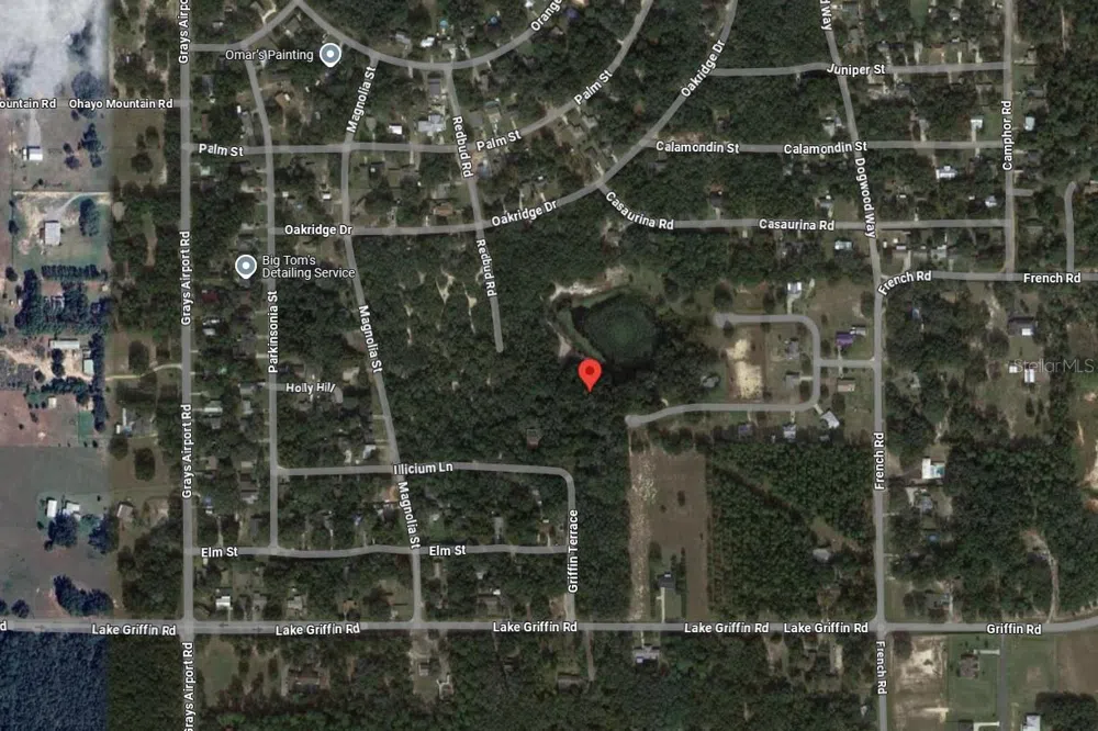 TBD REDBUD ROAD Lady Lake, FL 32159