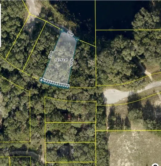 TBD REDBUD ROAD Lady Lake, FL 32159