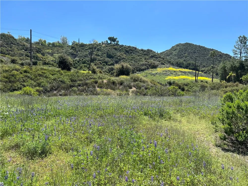 24201 Mulholland Highway Calabasas, CA 91302