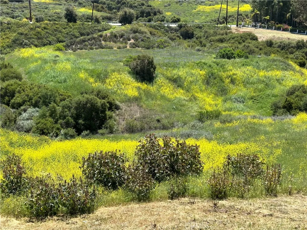 24201 Mulholland Highway Calabasas, CA 91302