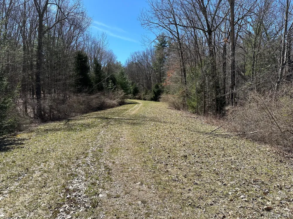 KNIGHTS BRIDGE ROAD Addison Township, MI 48367