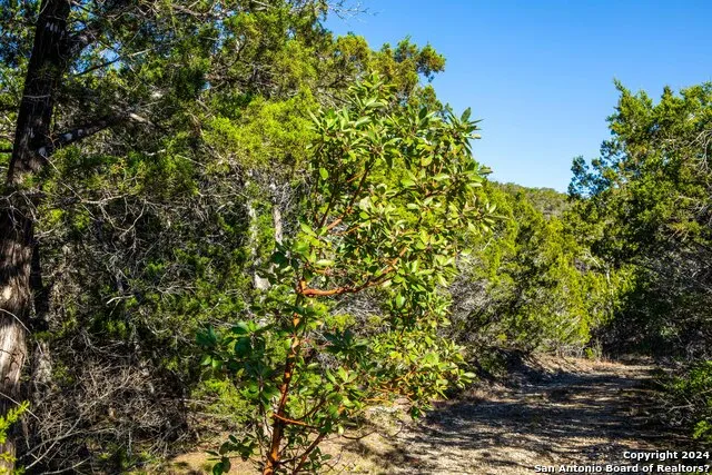 TBD Hidden Valley Dr Pipe Creek, TX 78063