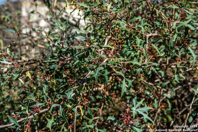 TBD Hidden Valley Dr Pipe Creek, TX 78063
