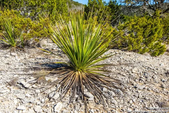 TBD Hidden Valley Dr Pipe Creek, TX 78063