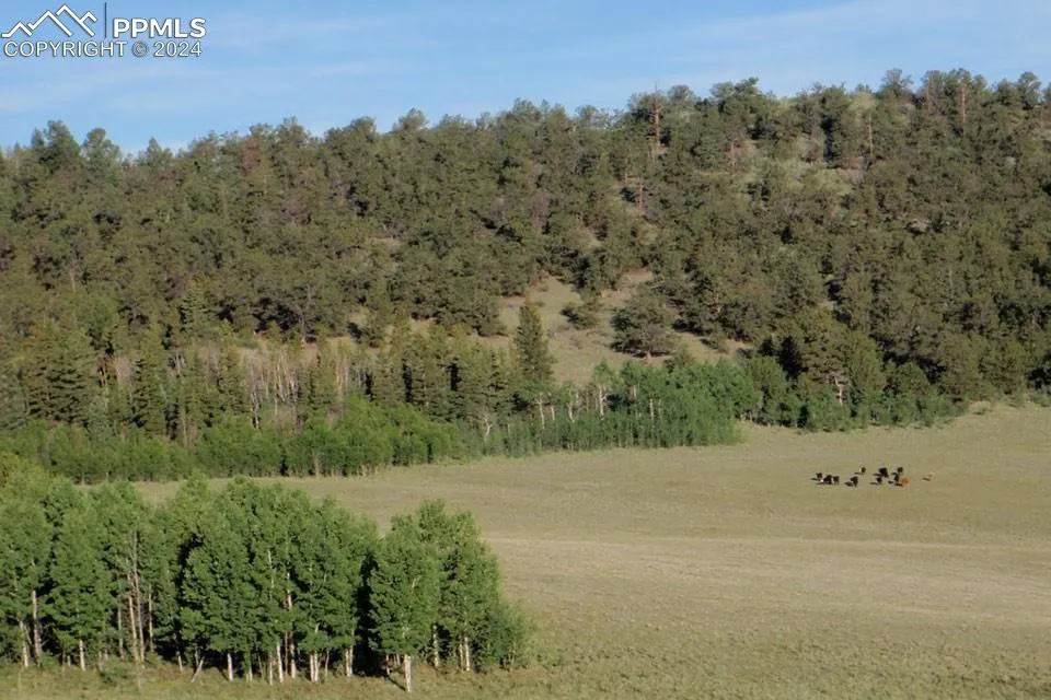 1185 County Road 734 Fairplay, CO 80440