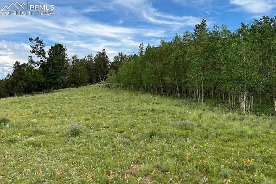 1185 County Road 734 Fairplay, CO 80440