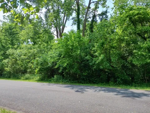 Briarwood Drive