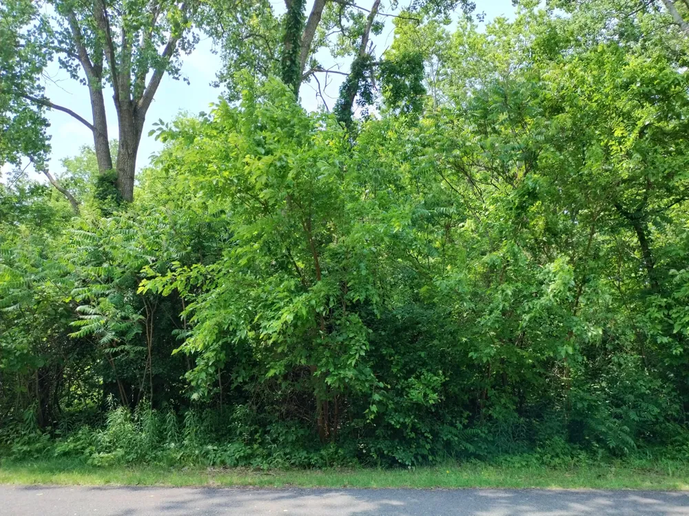 Briarwood Drive Otsego, MI 49078