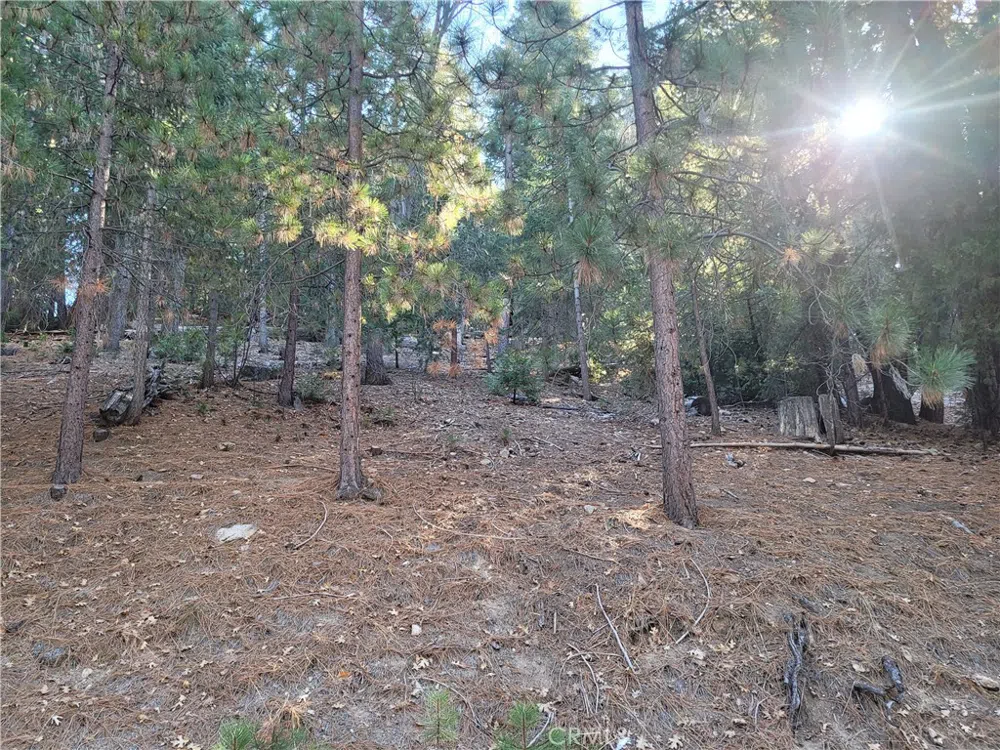Brentwood Drive Lake Arrowhead, CA 92352