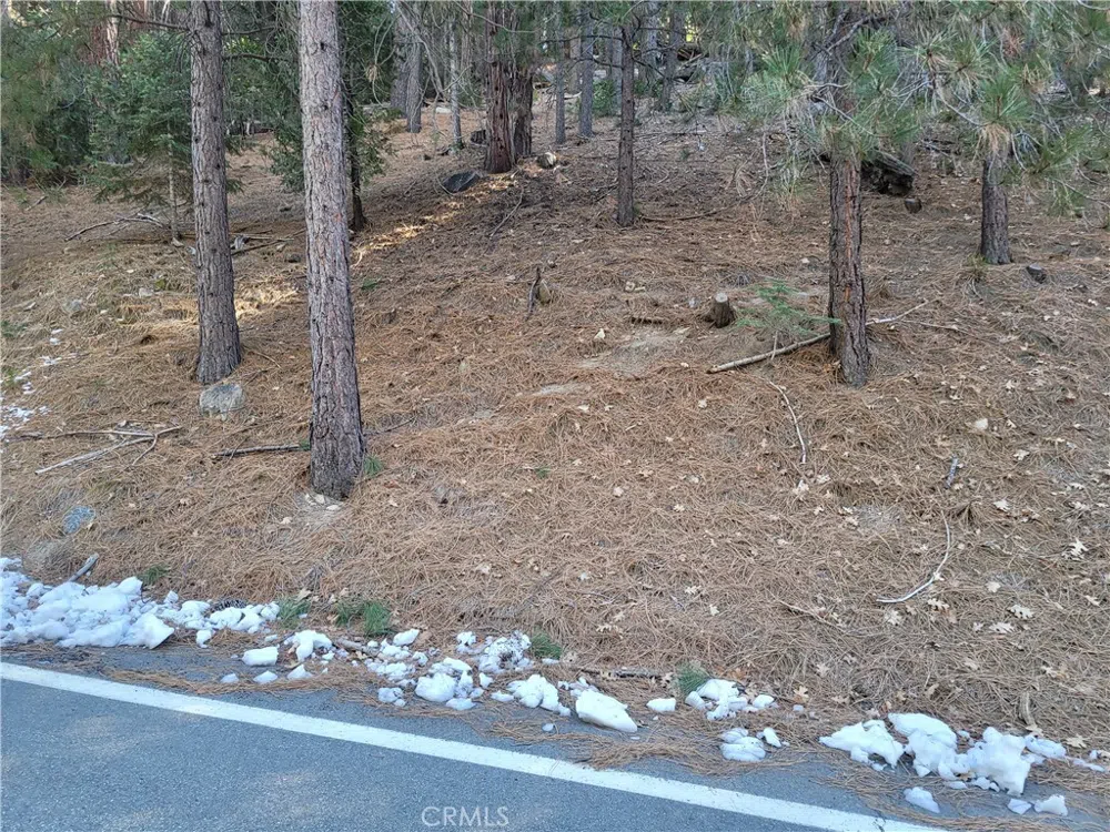 Brentwood Drive Lake Arrowhead, CA 92352