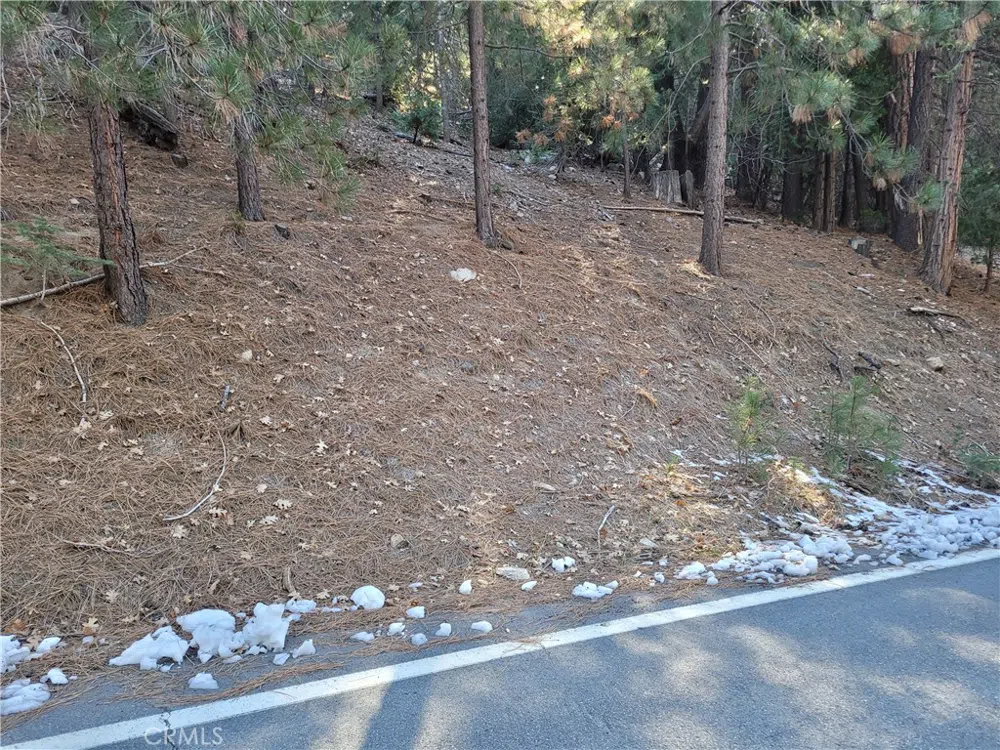 Brentwood Drive Lake Arrowhead, CA 92352
